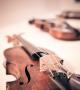 theangryteddy-violin-338518