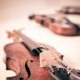 theangryteddy-violin-338518