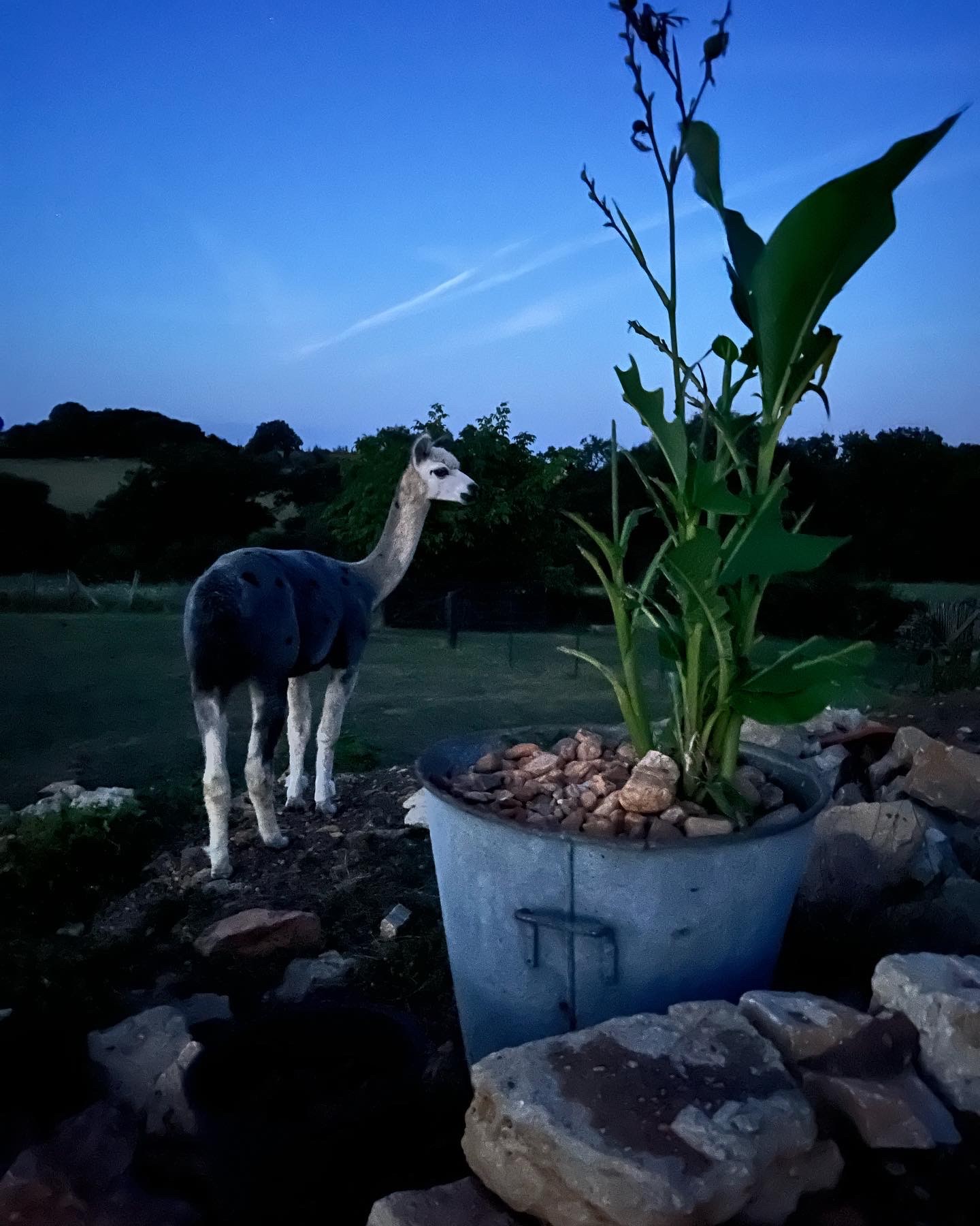 Gîte La Borie, Fons - photo 16