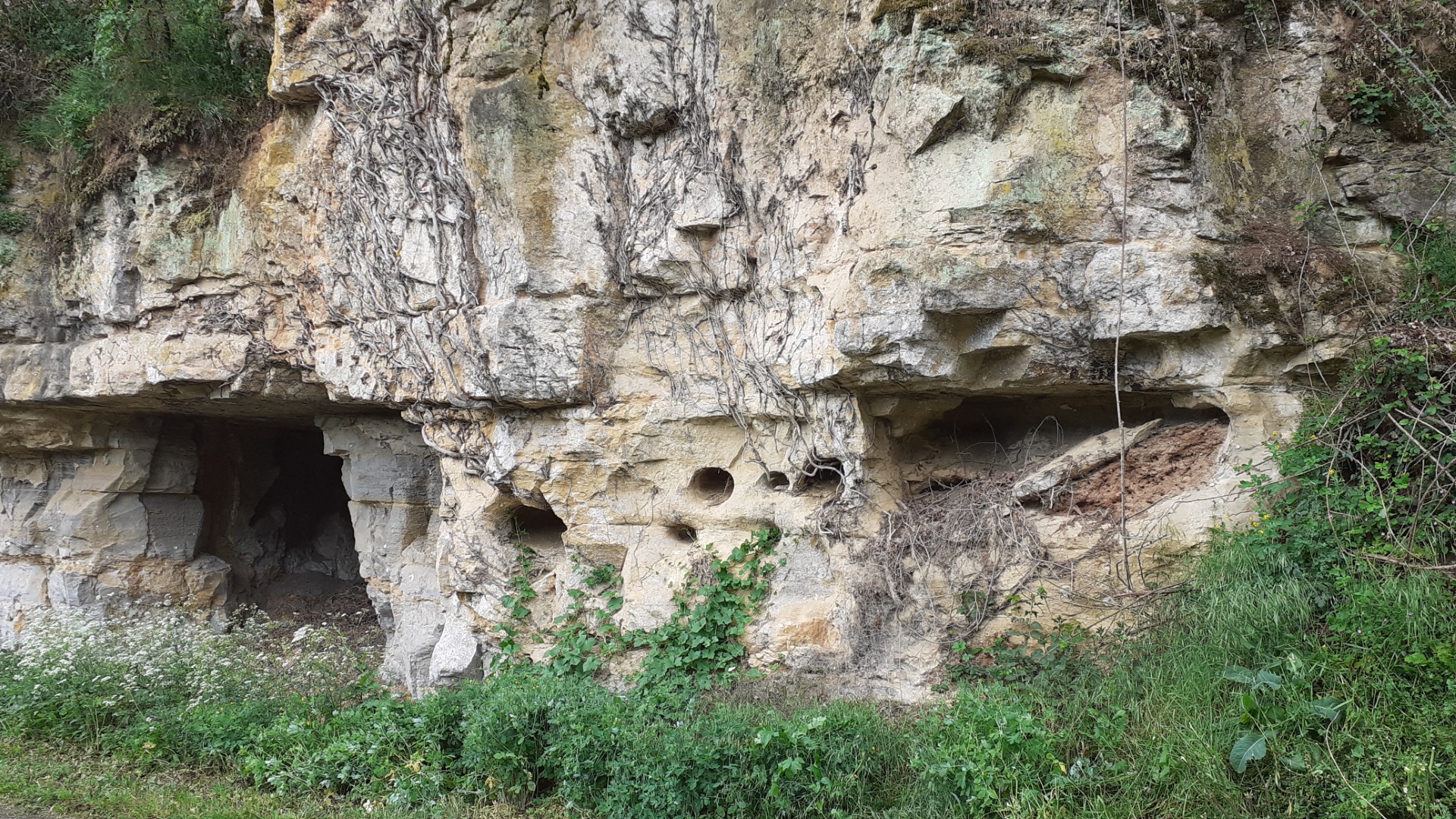 Conférence et randonnée : "Causse, combes et vallées : balade géologique autour de Cénevières, des terroirs contrastés"