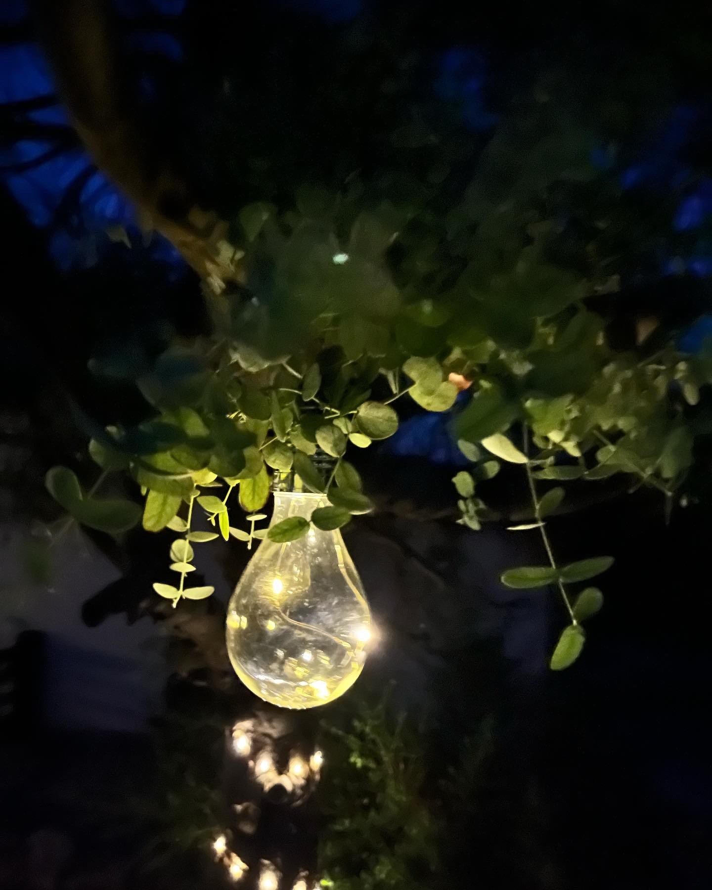 Gîte La Borie, Fons - photo 19