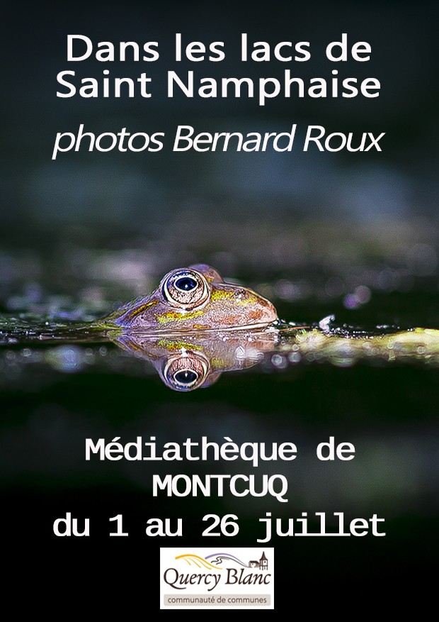 Dans les lacs de Saint Namphaise : exposition photos de l'artiste Bernard Roux