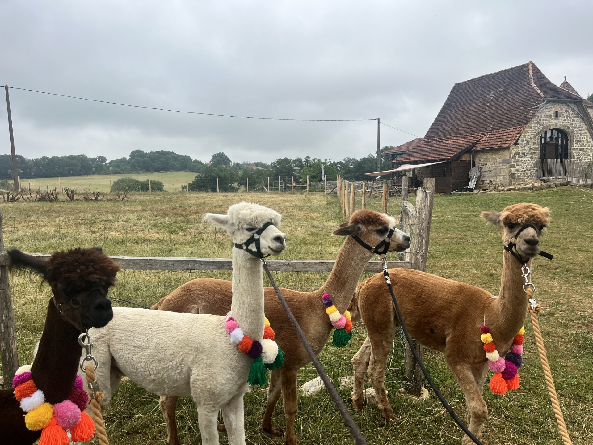 Gîte La Borie, Fons - photo 20