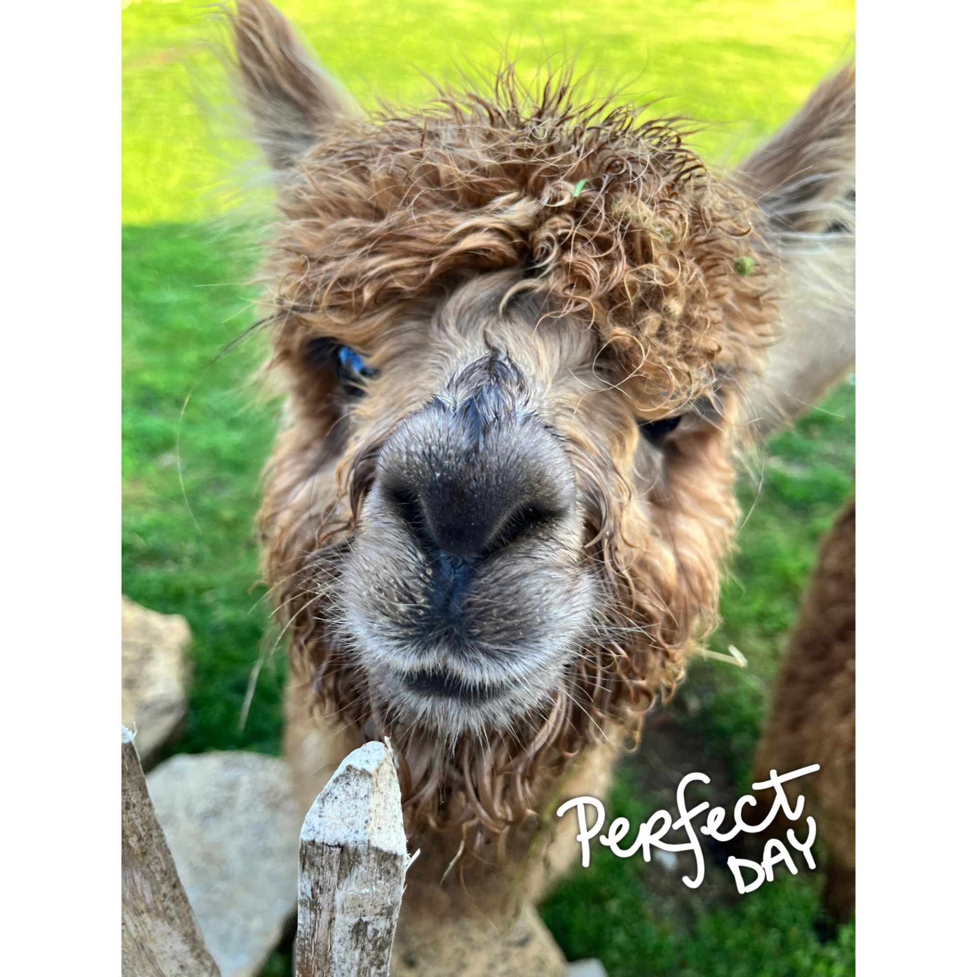 Gîte La Borie, Fons - photo 22