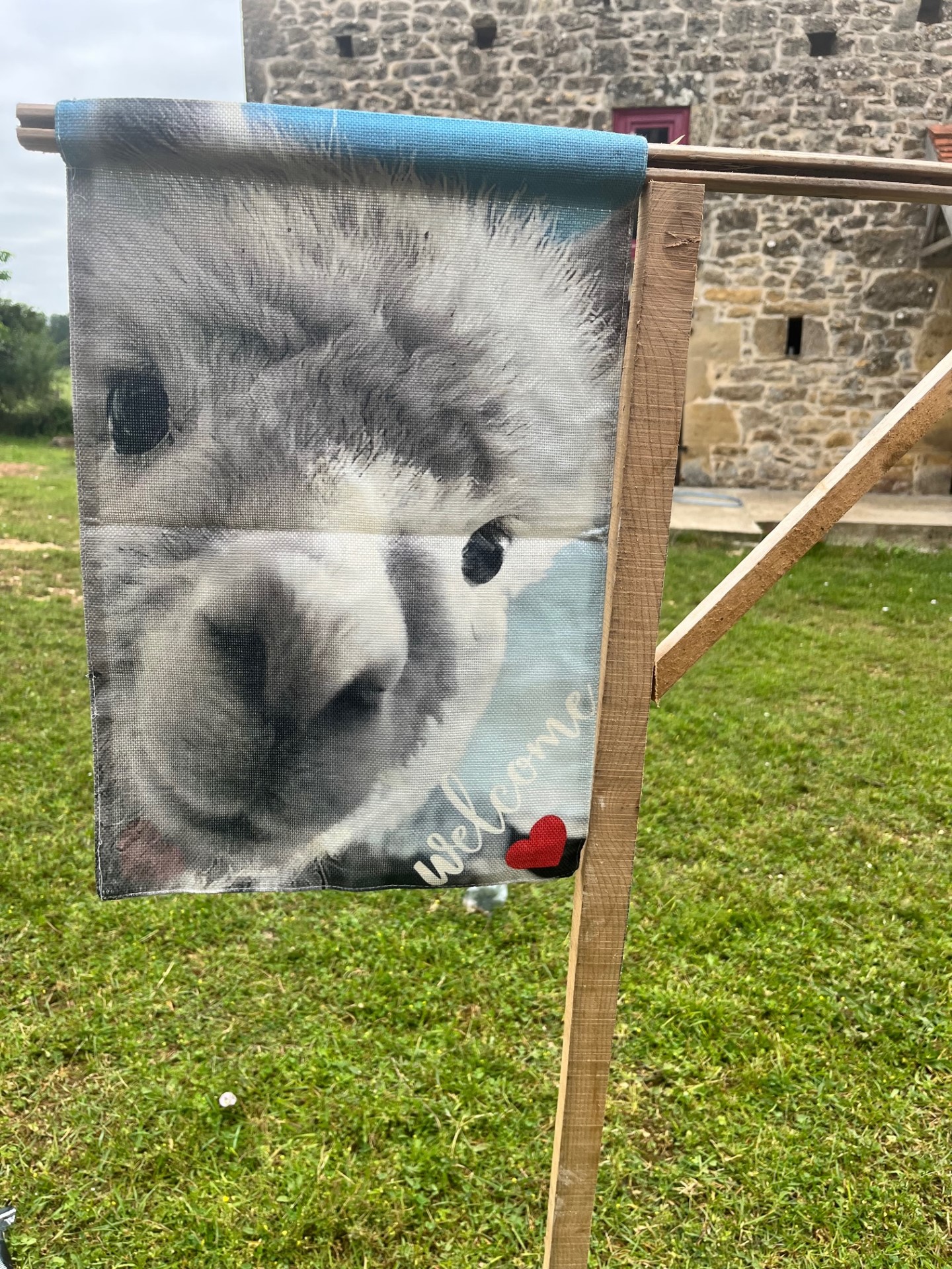 Les Alpacas de Fons, Fons - photo 16