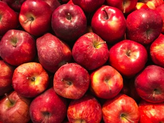 Atelier ''Fabrication de jus de pomme''