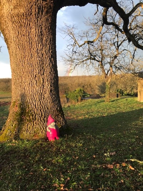 Domaine de Bel air - La Fromagerie, Le Bastit - photo 28