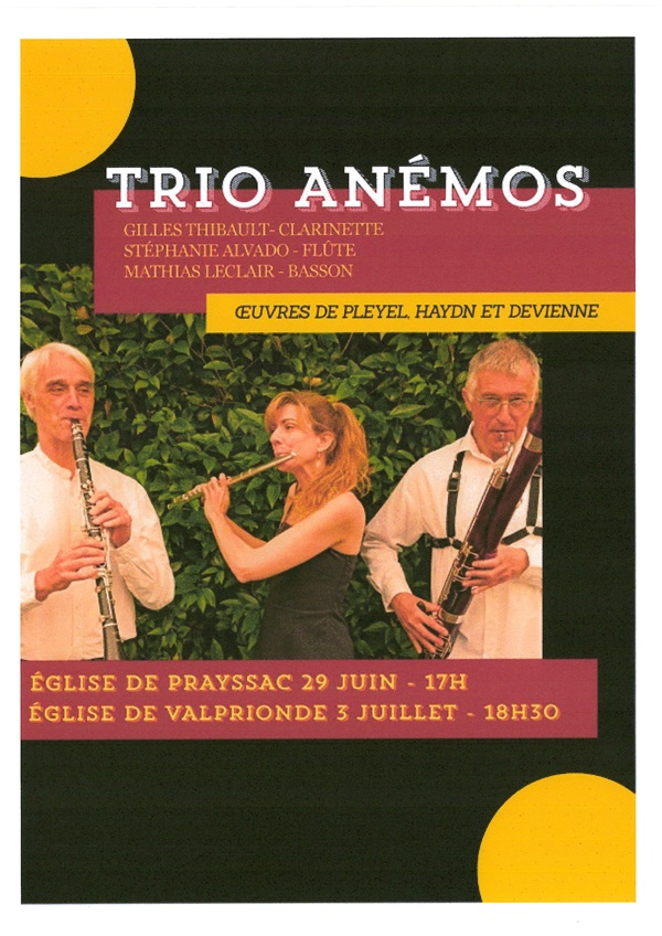 Trio Anémos en concert