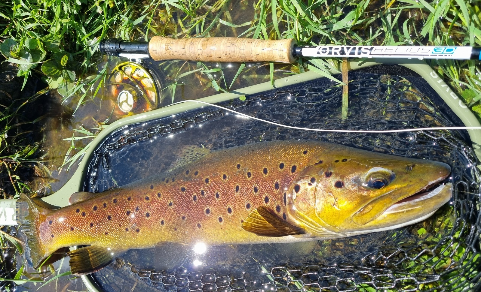 Dordogne Flyfishing Guide - Matthias Parre