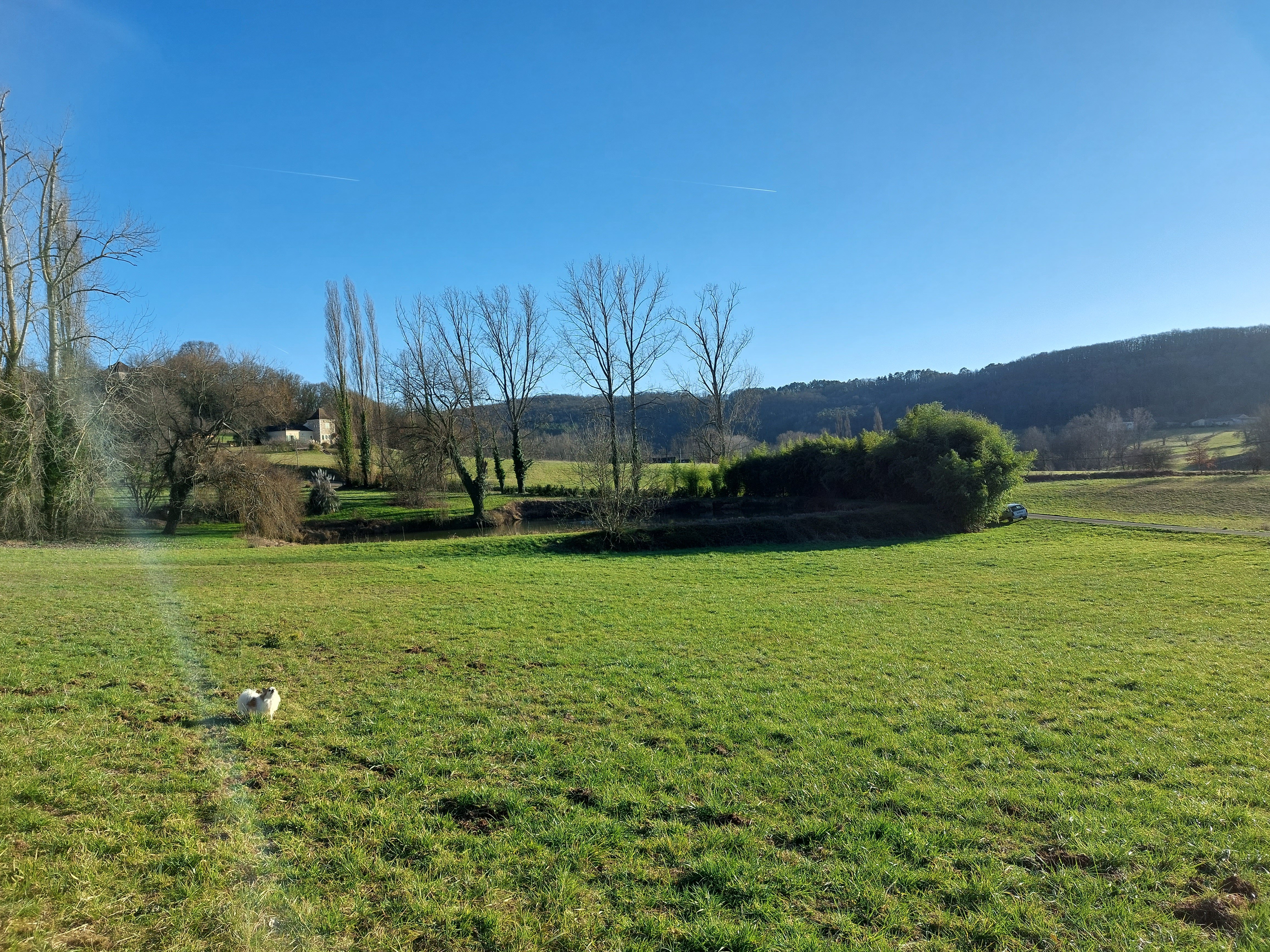 Les Trois L - Renard, Gindou - photo 16