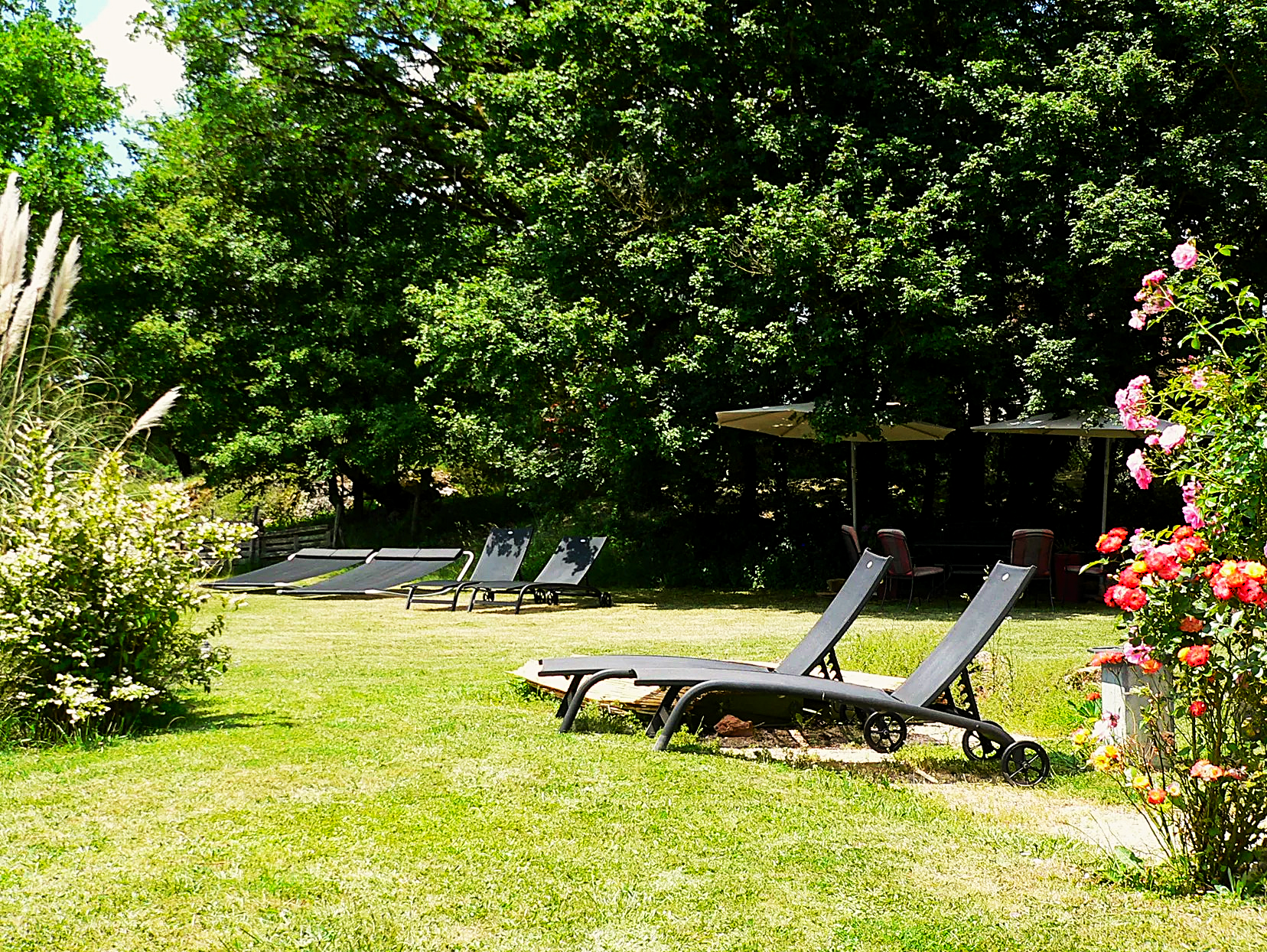 Trésor en Bois - 4 Chambre d'hôtes & 2 gîtes, Autoire - photo 9