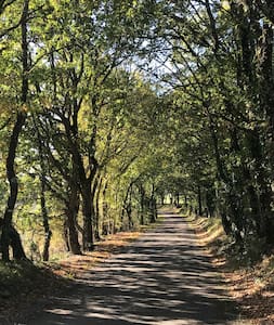 Le Pech de Valprionde, Montcuq-en-Quercy-Blanc - photo 19