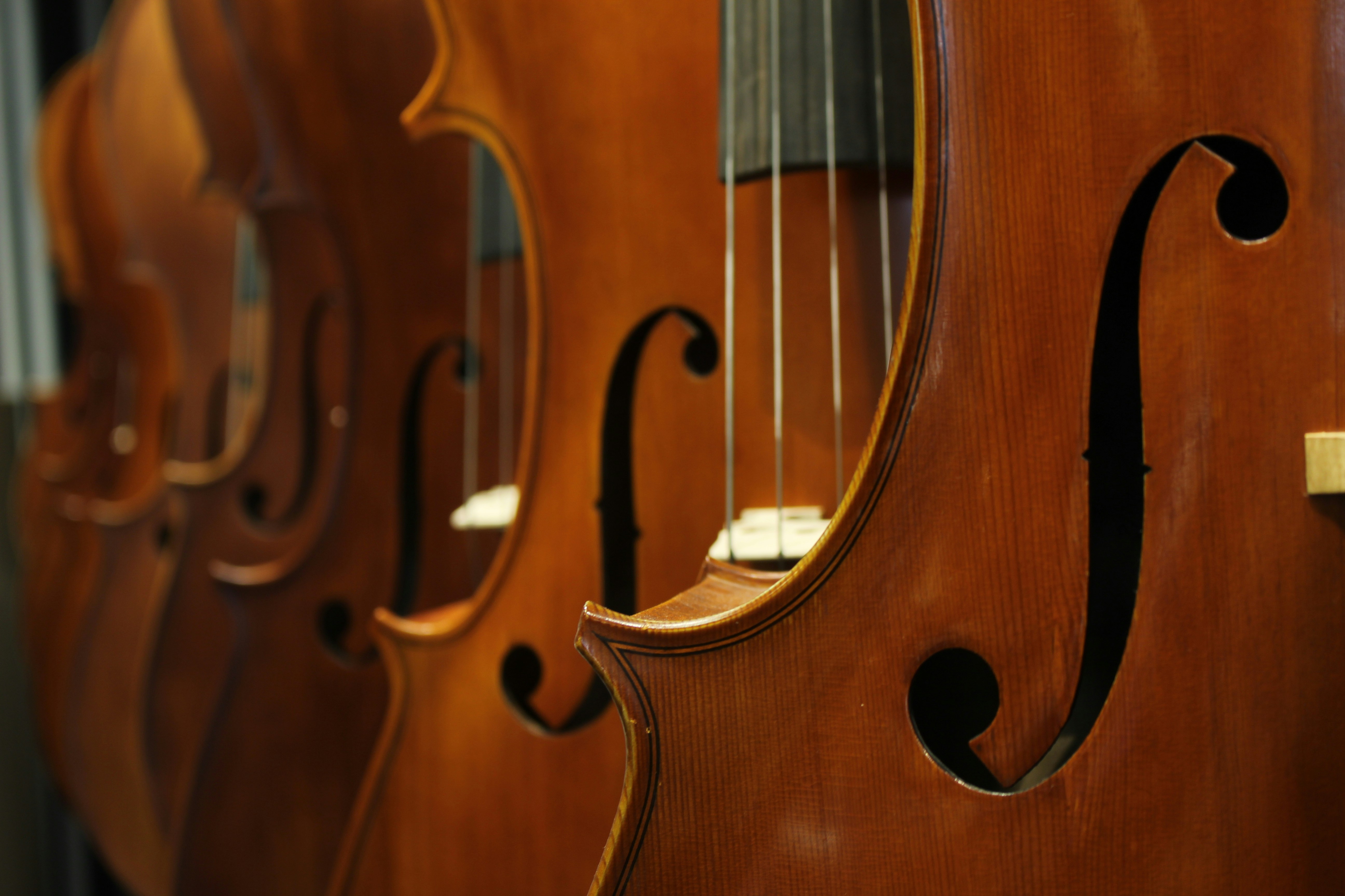 Festival : L’envolée musicale "Quatuors PARISII»
