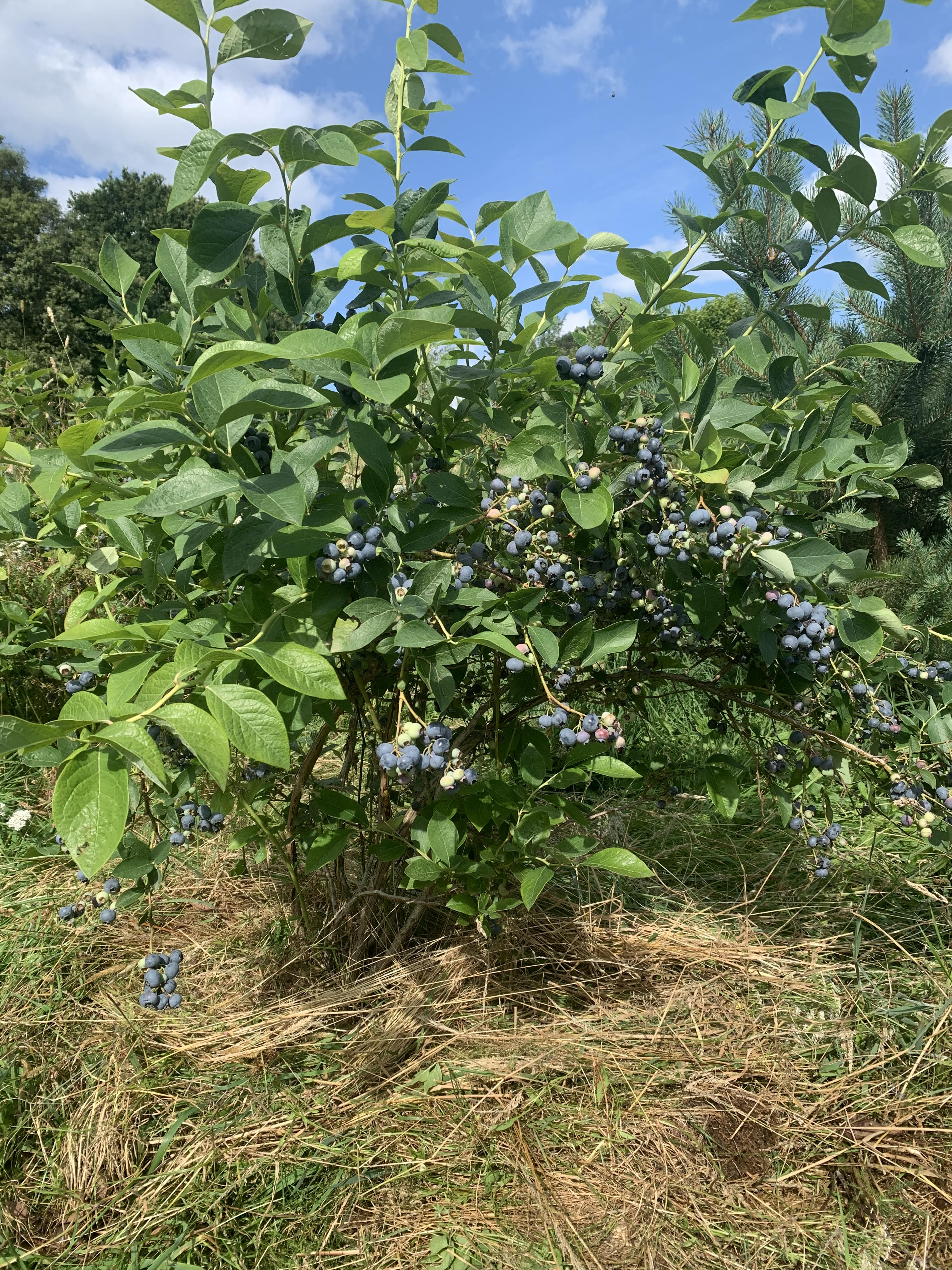 Restaurant L'îlot Des Saveurs, Leyme - photo 12