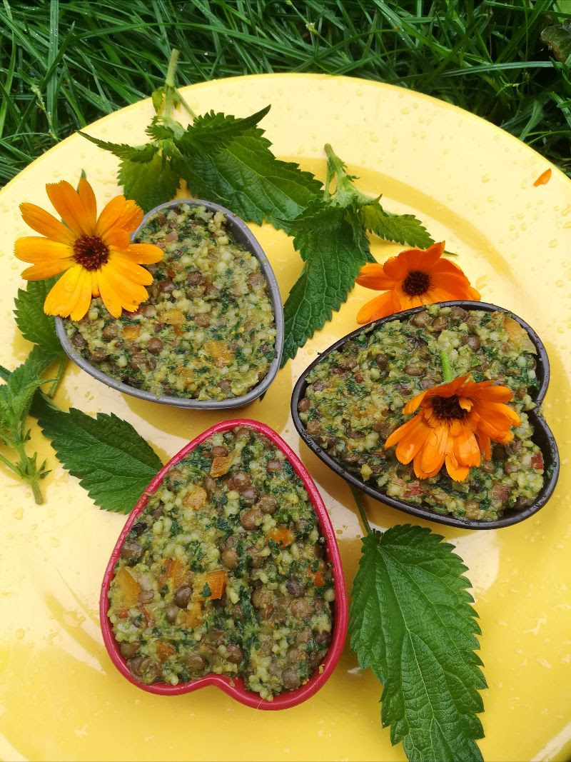 Stage : botanique pratique avec Caroline Calendula à Thémines, Thémines - photo 2