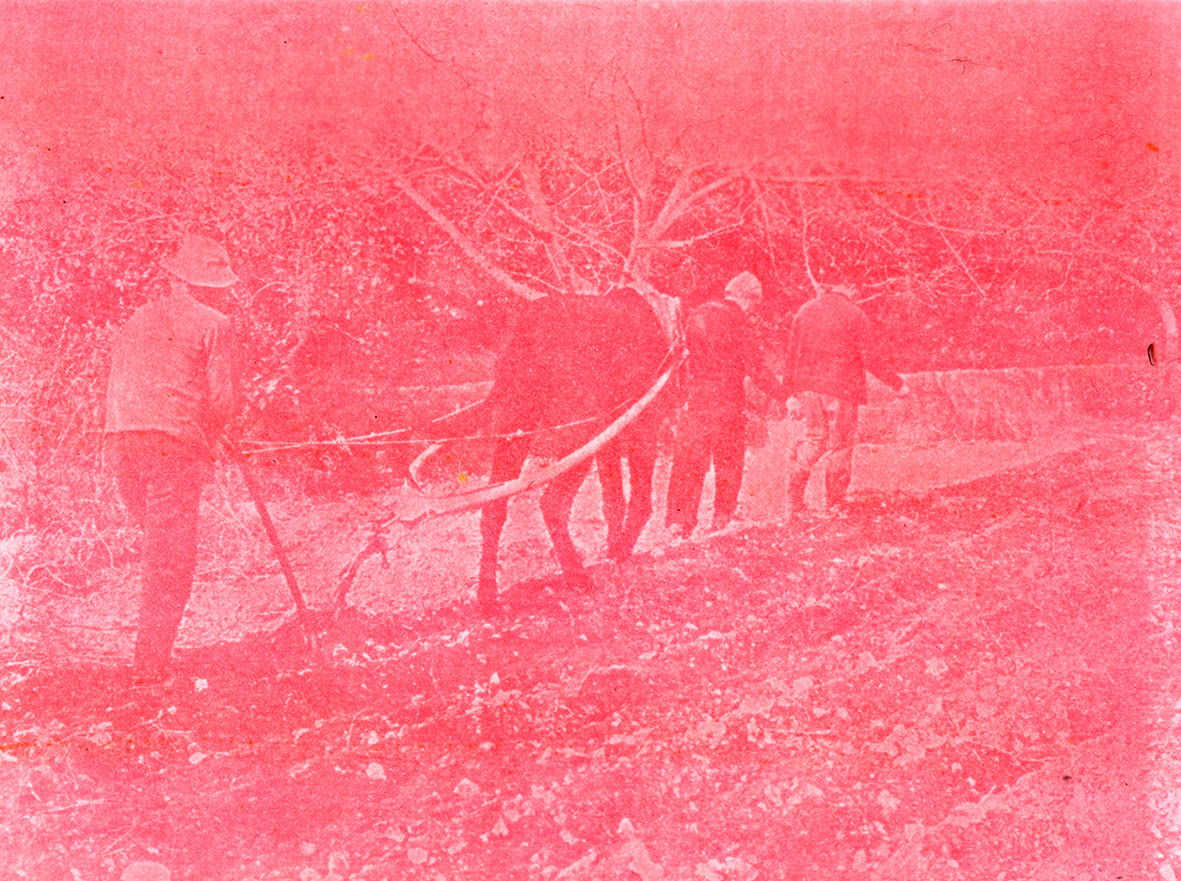 Exposition à la Vinadie  : Archives et matière photographique, Lilie Pinot