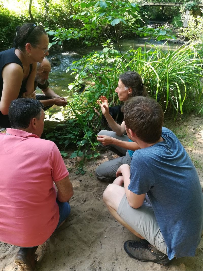 Atelier "macérats huileux et nouvelles printanières" avec Caroline Calendula à Thémines
