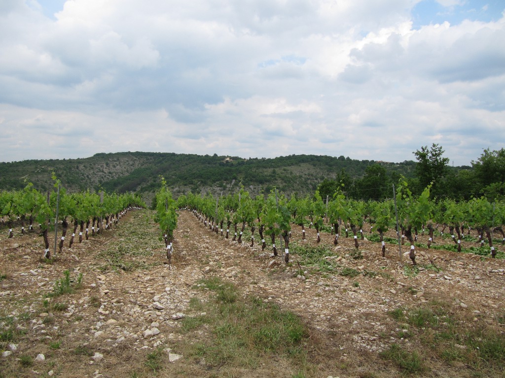 Domaine du Souleillan