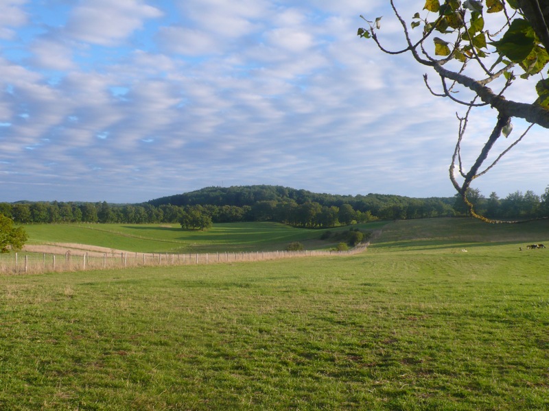 Camping à la Ferme des Alpagas du Quercy, Frayssinet - photo 13