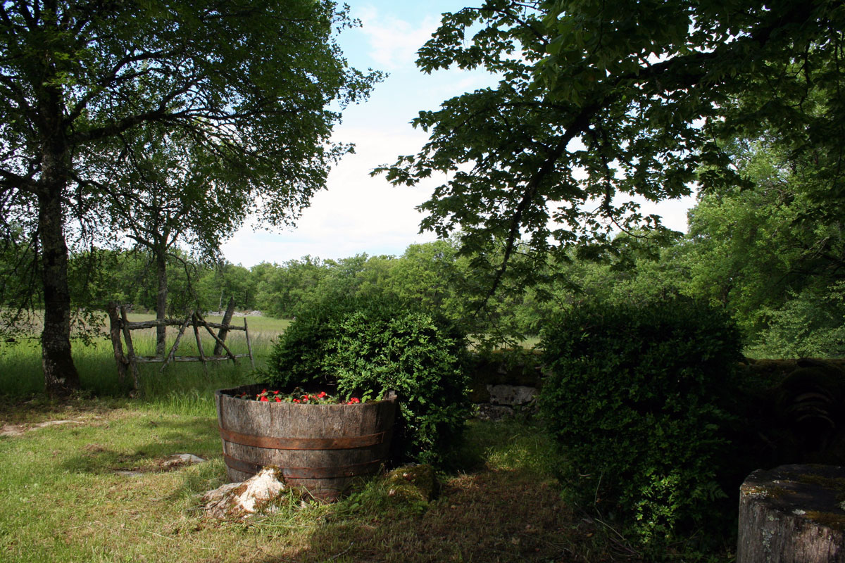 Les gîtes du Mas d'Aspech - La Chevalière, Belmont-Sainte-Foi - photo 16