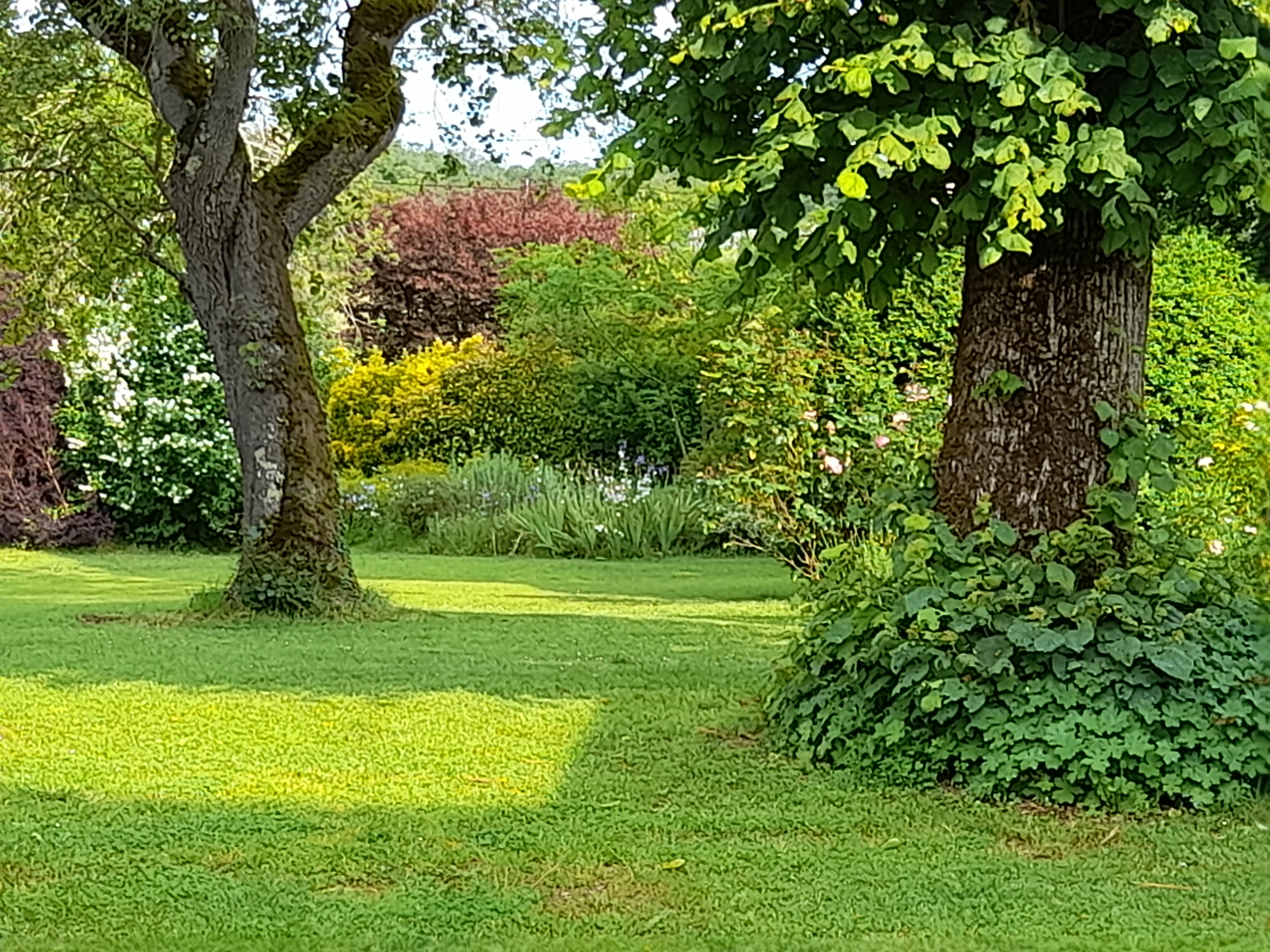 La Causserie, Gramat - photo 25