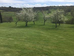 Villa Les Mondoux, Loupiac - photo 22