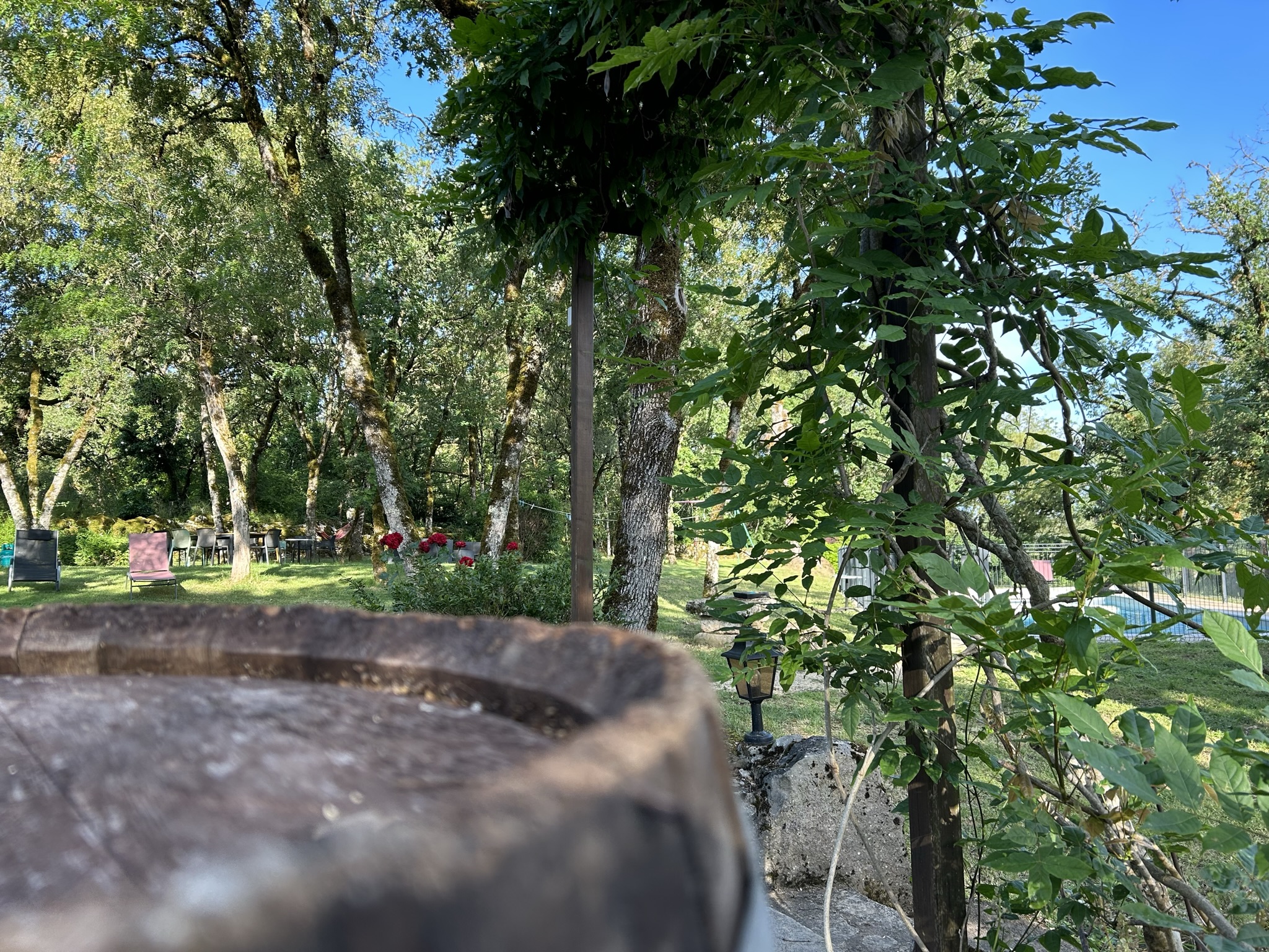 Gîte Noah avec spa privatif - Domaine de la Claire Fontaine, Montvalent - photo 15