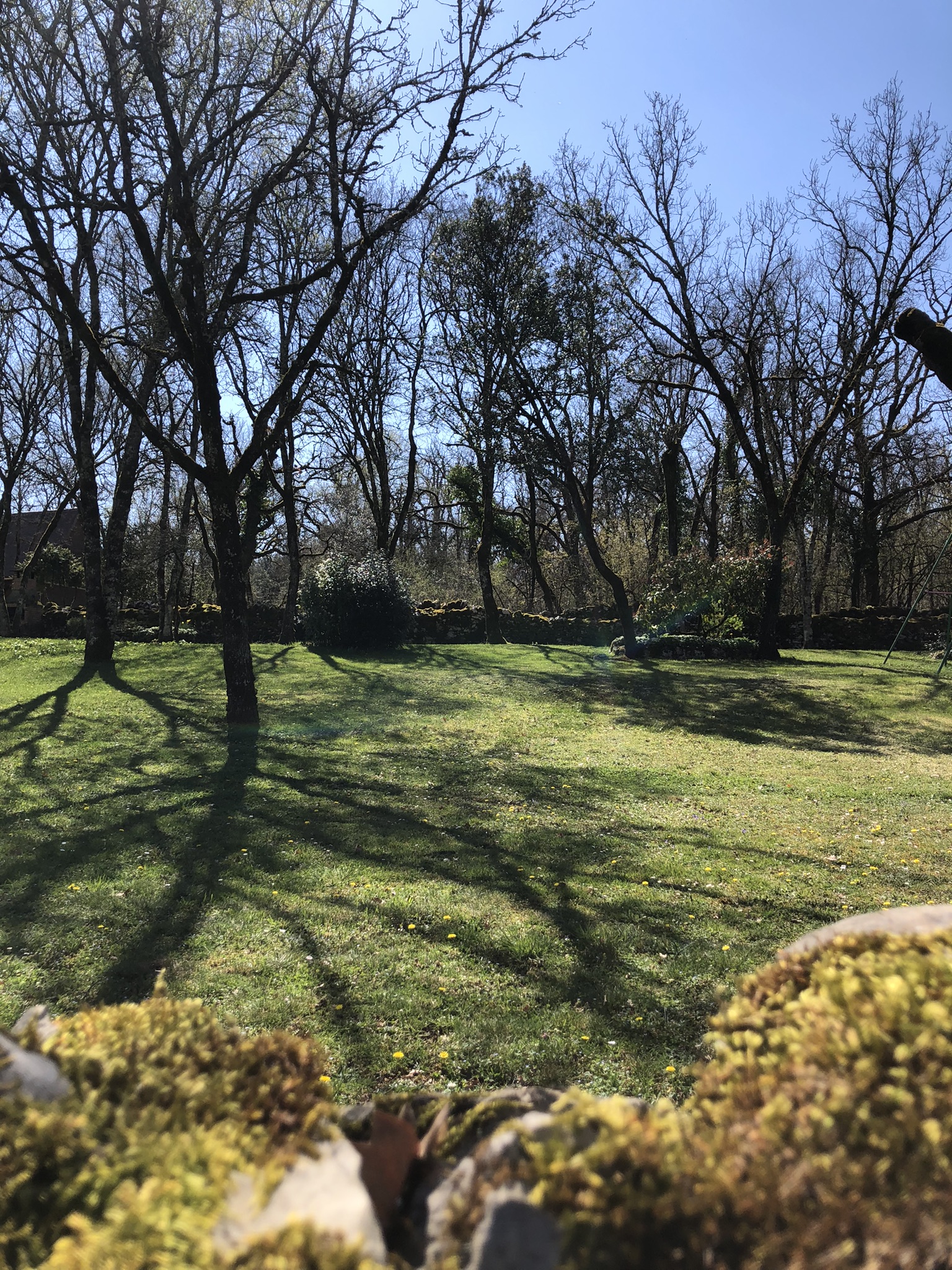 Gîte Noah avec spa privatif - Domaine de la Claire Fontaine, Montvalent - photo 16