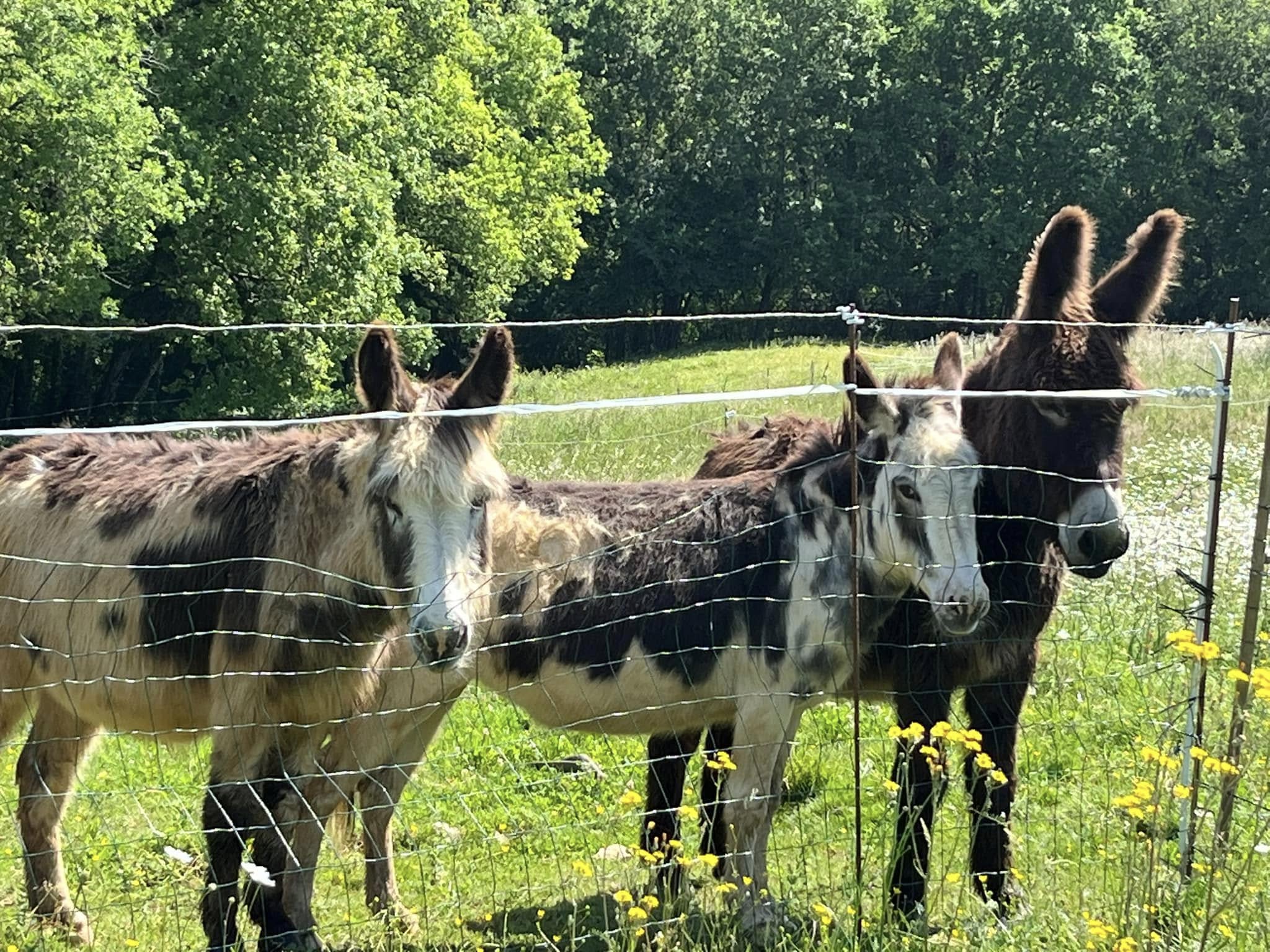 Ferme du Bourdicou