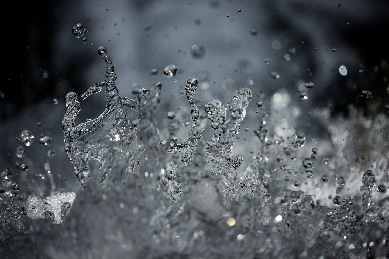 Atelier gestion et entretien des cours d'eau