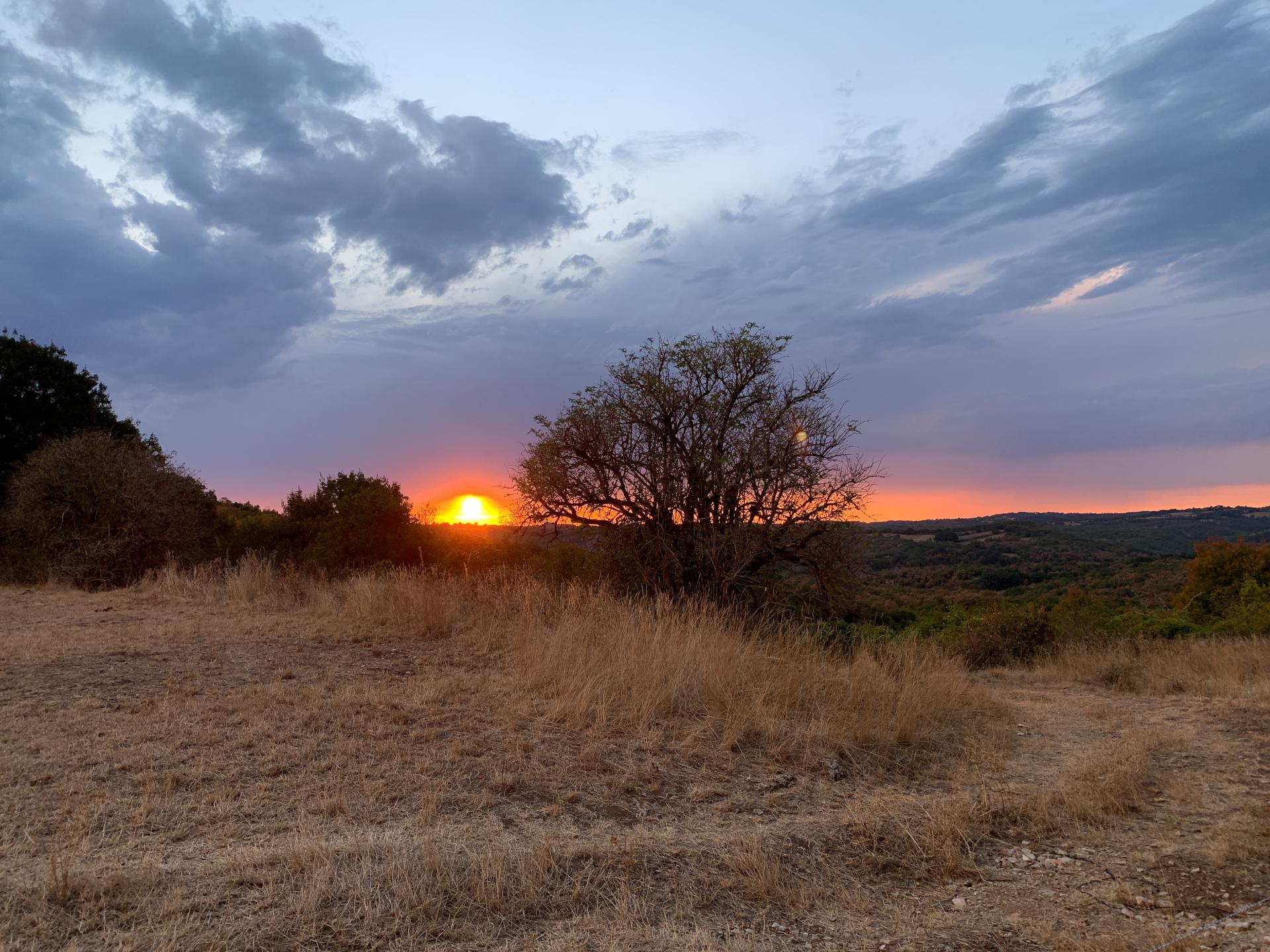 Fête des Étoiles et du Soleil à Thémines, Thémines - photo 3