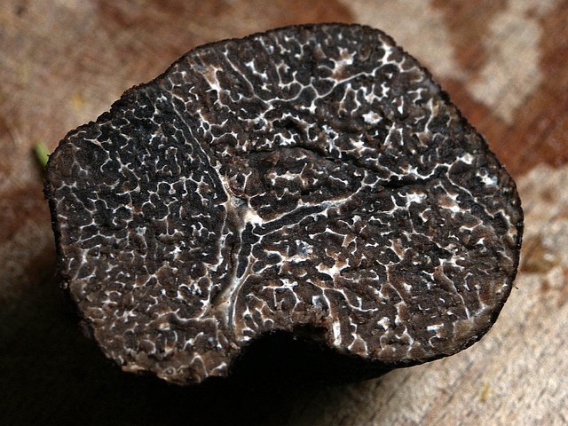 Fermes en fête à la ferme de la Truffe